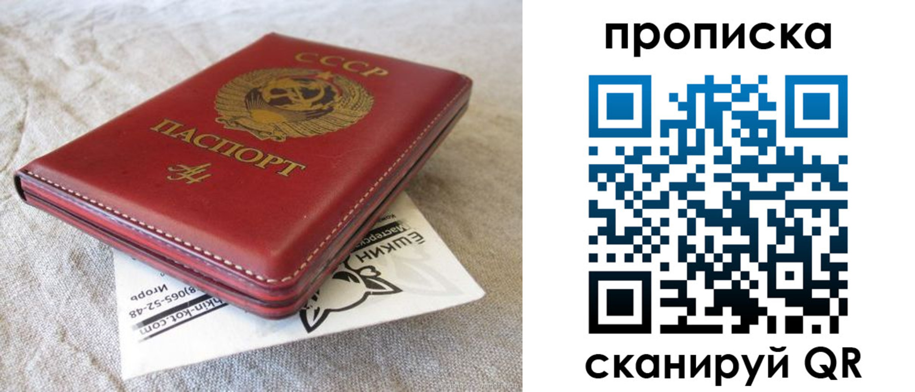 прописка для школы в Шали